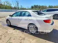 2010 Toyota COROLLA фото