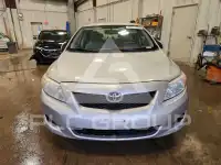 2010 Toyota COROLLA фото
