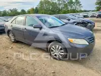 2010 Toyota CAMRY фото