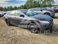 2010 Toyota CAMRY photo