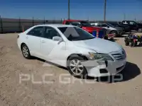 2010 Toyota CAMRY фото