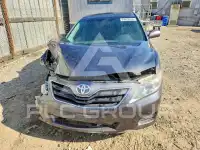 2010 Toyota CAMRY фото