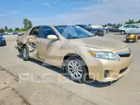 2010 Toyota CAMRY фото