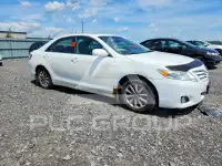 2010 Toyota CAMRY фото