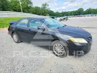2010 Toyota CAMRY фото