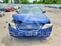 2010 Toyota CAMRY фото