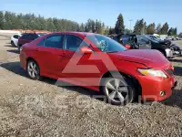 2010 Toyota CAMRY photo