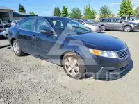 2010 KIA Optima фото