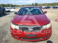 2010 KIA Forte photo