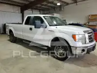 2010 Ford F-150 photo