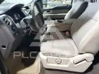 2010 Ford F-150 photo