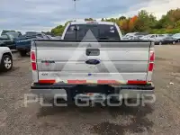 2010 Ford F-150 photo