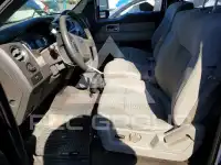 2010 Ford F-150 photo
