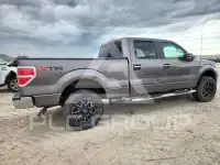 2010 Ford F-150 фото