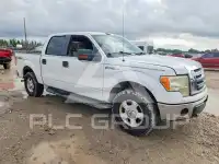 2010 Ford F-150 фото