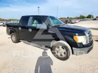 2010 Ford F-150 photo