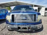 2010 Ford F-150 фото