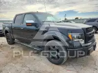 2010 Ford F-150 фото
