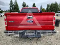 2010 Ford F-150 photo