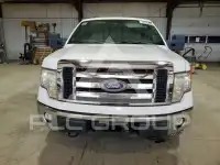 2010 Ford F-150 photo