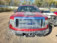 2010 Ford F-150 фото
