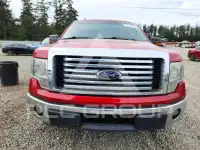 2010 Ford F-150 photo