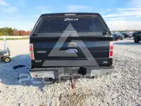 2010 Ford F-150 photo