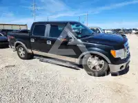 2010 Ford F-150 photo