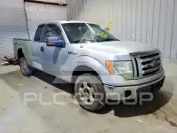 2010 Ford F-150 photo