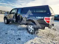2010 Ford F-150 photo