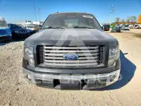 2010 Ford F-150 фото