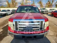 2010 Ford F-150 photo