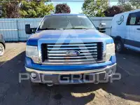 2010 Ford F-150 photo