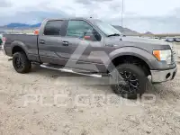 2010 Ford F-150 фото