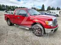 2010 Ford F-150 photo