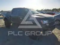 2010 Ford F-150 photo
