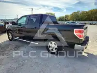 2010 Ford F-150 photo