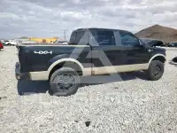 2010 Ford F-150 photo