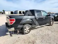 2010 Ford F-150 photo