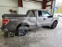 2010 Ford F-150 фото