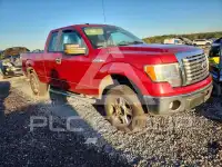 2010 Ford F-150 фото