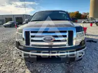 2010 Ford F-150 photo
