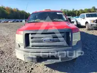 2010 Ford F-150 фото
