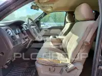 2010 Ford F-150 photo