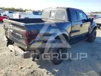 2010 Ford F-150 photo