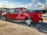 2010 Ford F-150 photo