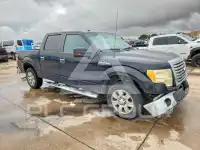 2010 Ford F-150 фото