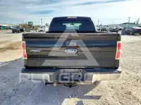 2010 Ford F-150 photo