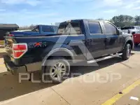 2010 Ford F-150 фото