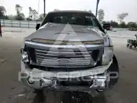 2010 Ford F-150 фото